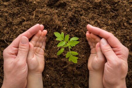 To the Baby Gardeners Image